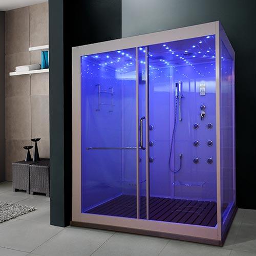 What are the functions of the Steam Shower Enclosure?